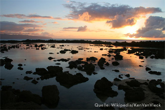 Sonnenuntergang über Shark's Cove, Oahu, Hawai'i (Quelle: Wikipedia/KenVanVleck